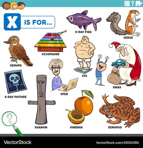 Letter x words educational set with cartoon Vector Image