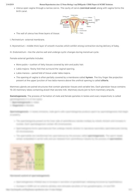 Image result for Bio Chap 20 Reproduction Class 12