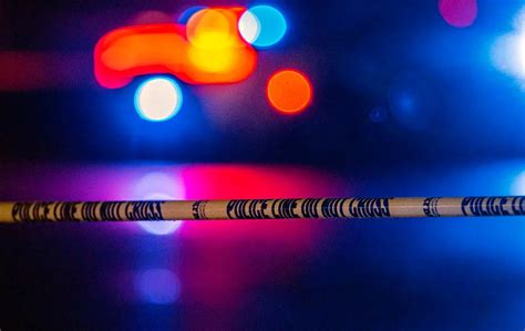 Elyria Municipal Court: Your Essential Guide to Cases, Records & Online ...