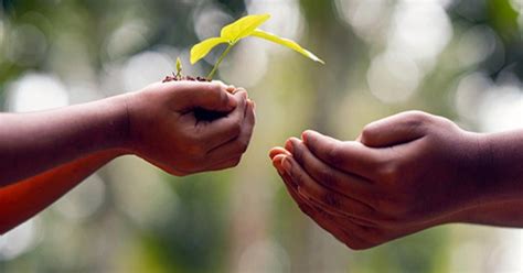 Explained: UN Declaration For Access To 'Healthy And Sustainable ...