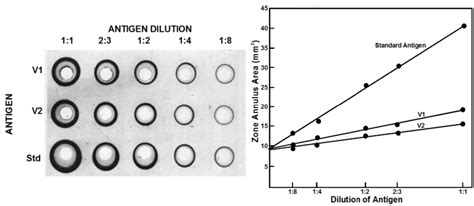 Assaying the Potency of Influenza Vaccines