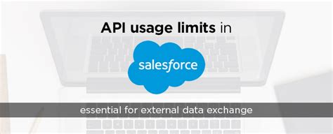 Image result for Salesforce API Usage