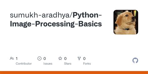 Python Image Processing Tutorial 的图像结果