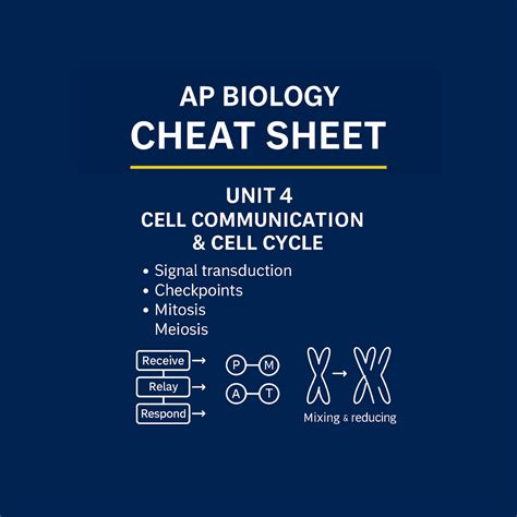 Image result for AP Calculus Exam Tips