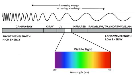 Light 的图像结果