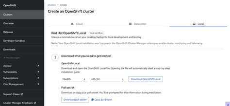 Install OpenShift 的图像结果