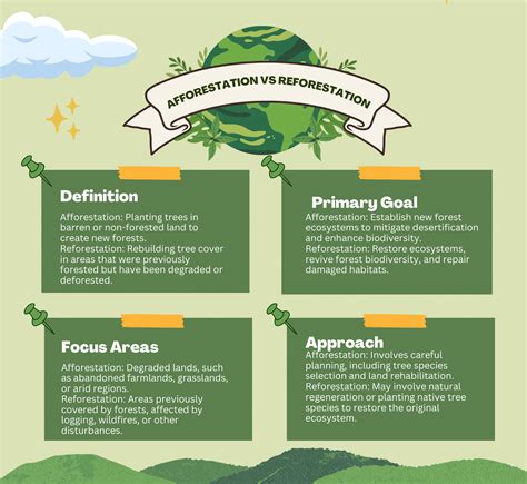 Afforestation Vs. Reforestation: Key Differences And Their Environmental Impact - Sigma Earth