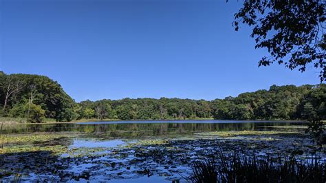 Great River Greening