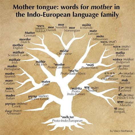 Image result for Language Tree Chart