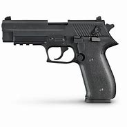 Image result for Sig Mosquito 22LR for Sale