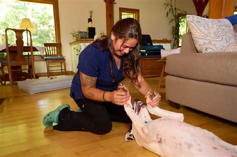 Our Veterinary Team in Addison County, VT | Addison County Mobile ...