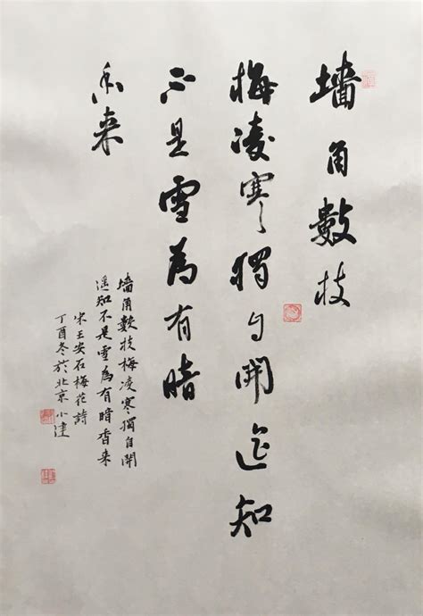 王安石著名的咏梅诗，自然，却意味深远，值得一读再读