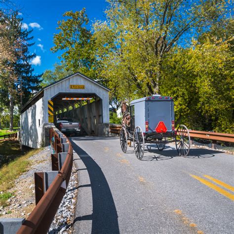 175+ Amazing Amish Names (Traditional and Biblical Boy and Girl Names ...