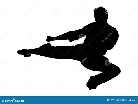 Image result for Flying Side Kick Tutorial