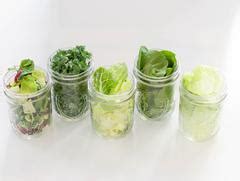 Image result for First Course Salad Kitchen