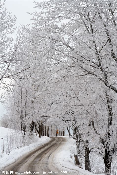 冬天 下雪摄影图__自然风景_自然景观_摄影图库_昵图网nipic.com