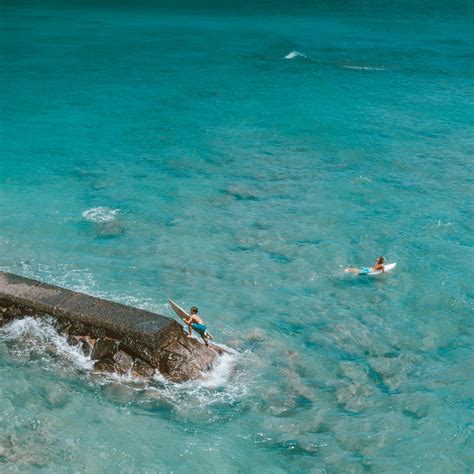 Swimming in Sea 的图像结果