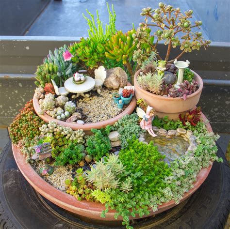 Houseplants Succulent Fairy Garden