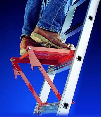 Image result for Ladder Lass