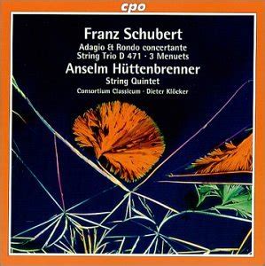 Buy Huttenbrenner; String Quintet Online at Low Prices in India ...