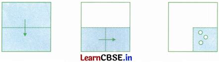 Image result for Symmetry Reflection and Pattern Chapter of Class 4