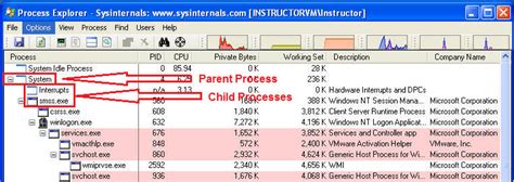 Parent Process in Task Manager 的图像结果