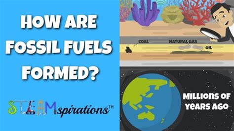 Image result for How Are Fossil Fuels Formed