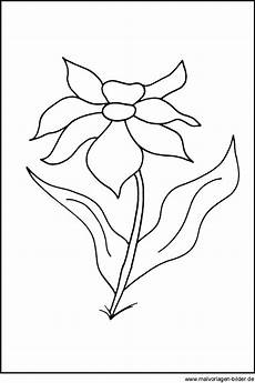 malvorlagen blumen pdf kostenlose malvorlagen blumen malvorlagen blumen pdf kostenlose malvorlagen blumen