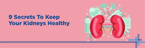 9 Secrets To Keep Your Kidneys Healthy | Medicover Hospitals