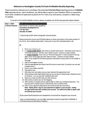 Fillable Online Huntingdon County ProTrack-ProMobile Monthly Reporting ...