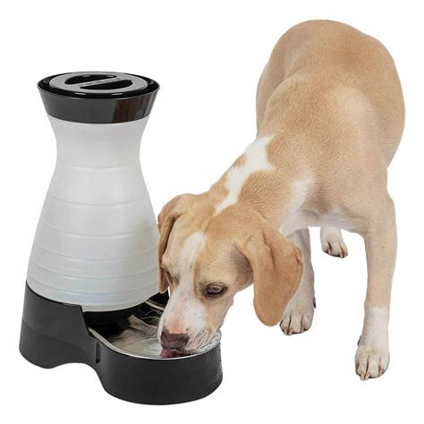 Best Large Dog Water Dispensers in 2026 - Pros & Cons