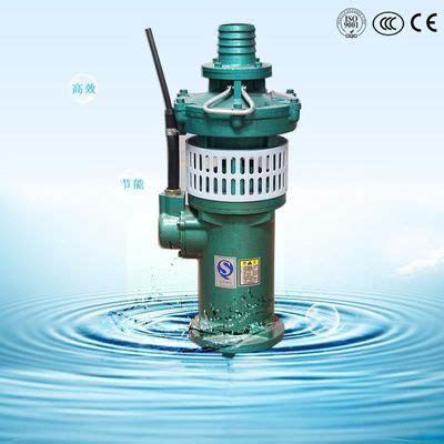 小型抽水泵_小型抽水泵 农田灌溉泵 充油式 油浸式 郑州厂家 - 阿里巴巴