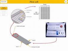 flow cell illumina illumina gaiix for high throughput sequencing flow cell illumina illumina gaiix for high throughput sequencing