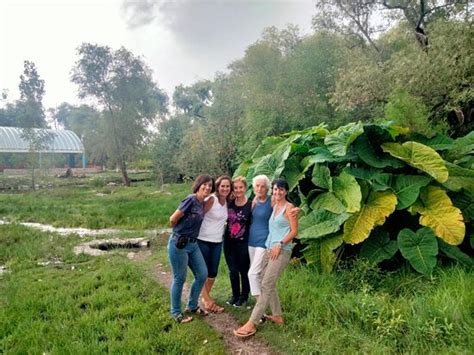 Coyote Tours VIP (Durango) - 2022 What to Know Before You Go (with ...