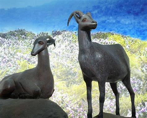 THE BEST Places to Visit in Adimali (UPDATED 2024) - Tripadvisor