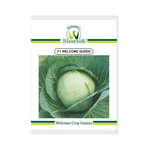 Welcome Seeds - Cabbage Seeds | Buy Online at Best price - DesiKheti ...