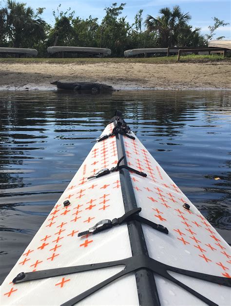 Alligator claimed the boat launch when I returned : r/Kayaking