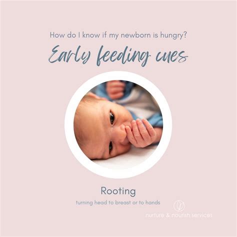 Know your early feeding cues
