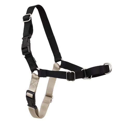 PetSafe Easy Walk No Pull Dog Harness: Stop Pulling & Choking ...