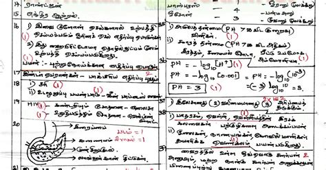 10th Half yearly Exam - Science key Answers - December 2016 - TN STUDY ...