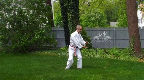 Tai Chi Flow Motion 的图像结果