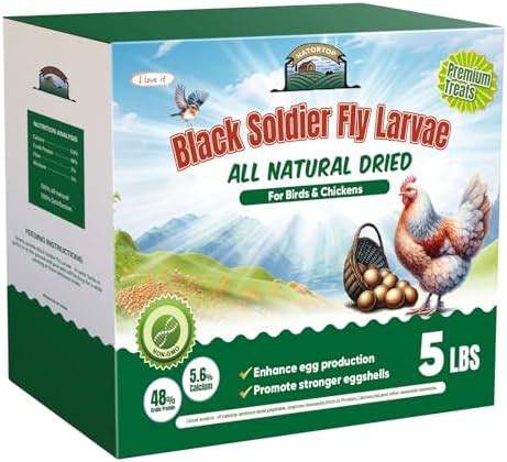 5LB Dried Black Soldier Fly Larvae for Chickens Treats Bulk - Non GMO ...