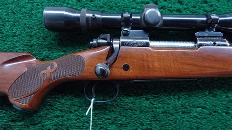 Winchester Model 70 Variants at Joel Kates blog