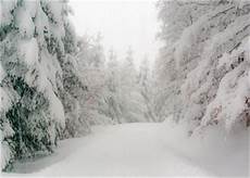 Winterdepression Gaertnern lizenzfreie bilder natur bildagentur panthermedia Winterdepression Gaertnern lizenzfreie bilder natur bildagentur panthermedia