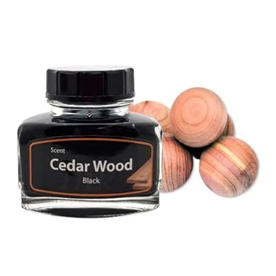 Kentaur Premium European 50ml Bottle Pen Ink - India | Ubuy