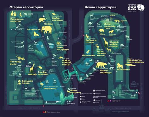 Карта Московского зоопарка с животными 2023 года - MoscowZoo