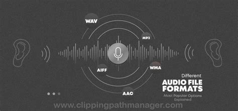 Image result for Audio File Types