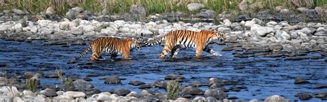 Uttarakhand Odyssey Tours – Events & Resort Booking Services