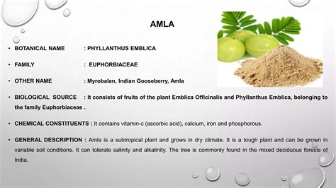 HERBS AS HEALTH FOOD IN HERBAL DRUG TECHNOLOGY | PPTX