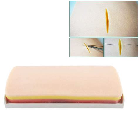 Buy Teaching Model Skin Suture Practice Model, Deep Suture Model ...